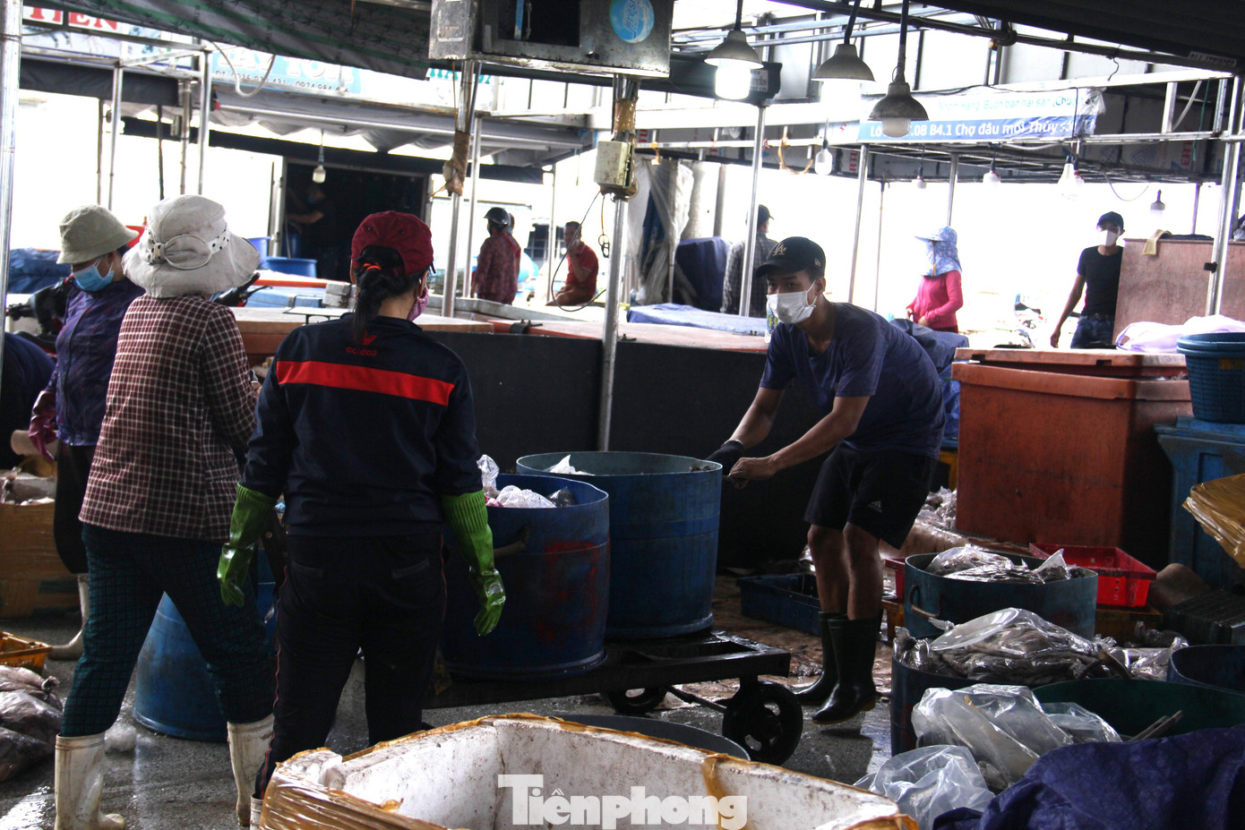 Hiện trong cảng còn tồn đọng hơn 200 tấn hàng được bảo quản ở kho lạnh, ướp đá và trên tàu cá.