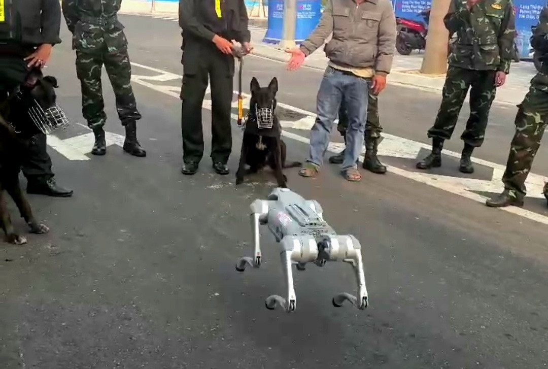 Dog Go2 còn khiến người xem thích thú khi vờn chú chó nghiệp vụ khiến chú chó này định xông vào tấn công.