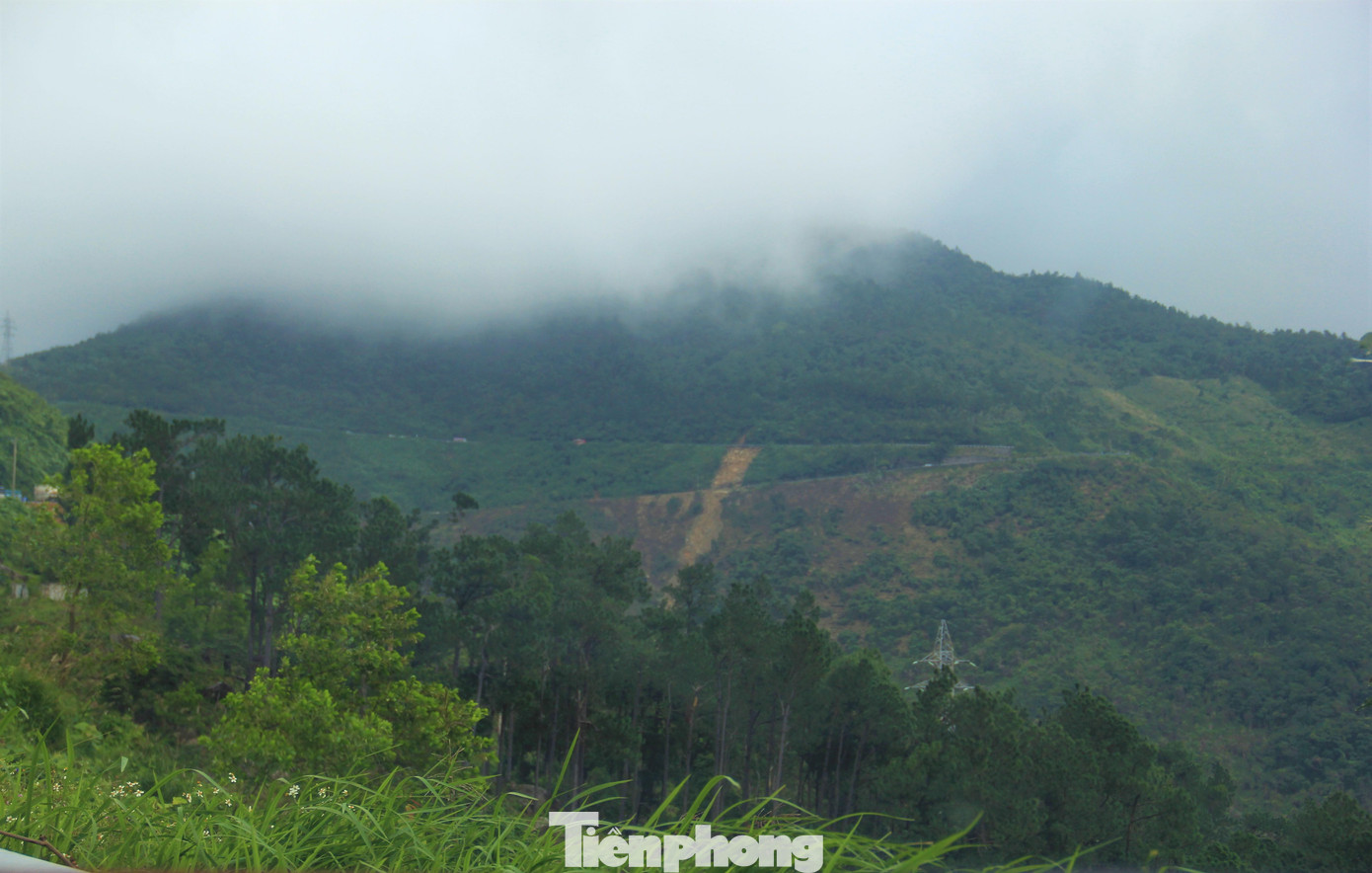 Lên đèo mùa này còn được săn mây. Nhiều hôm mây xuống bồng bềnh, đặc quánh như một dòng sông.