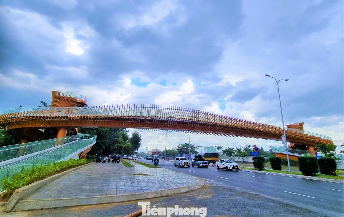 Cây cầu mềm mại, màu sắc hài hòa bắc qua tuyến đường biển.