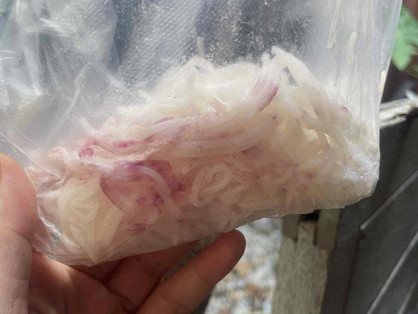 Túi bún còn dư cất trong tủ lạnh đổi màu sau một đêm