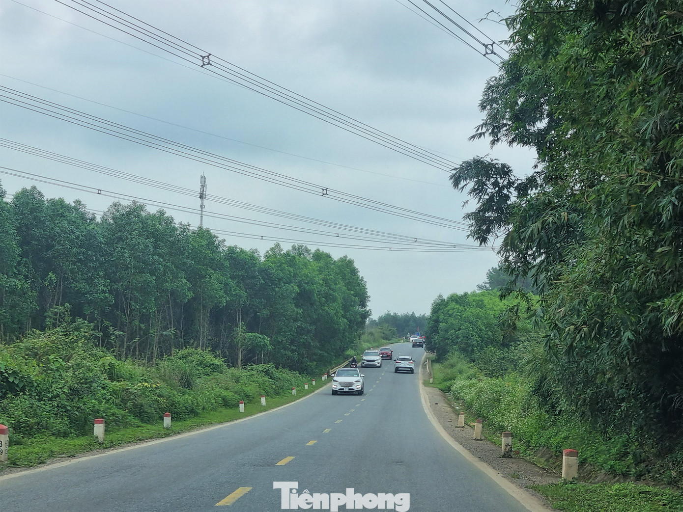 Cây cối hai bên tuyến đường ngát xanh.