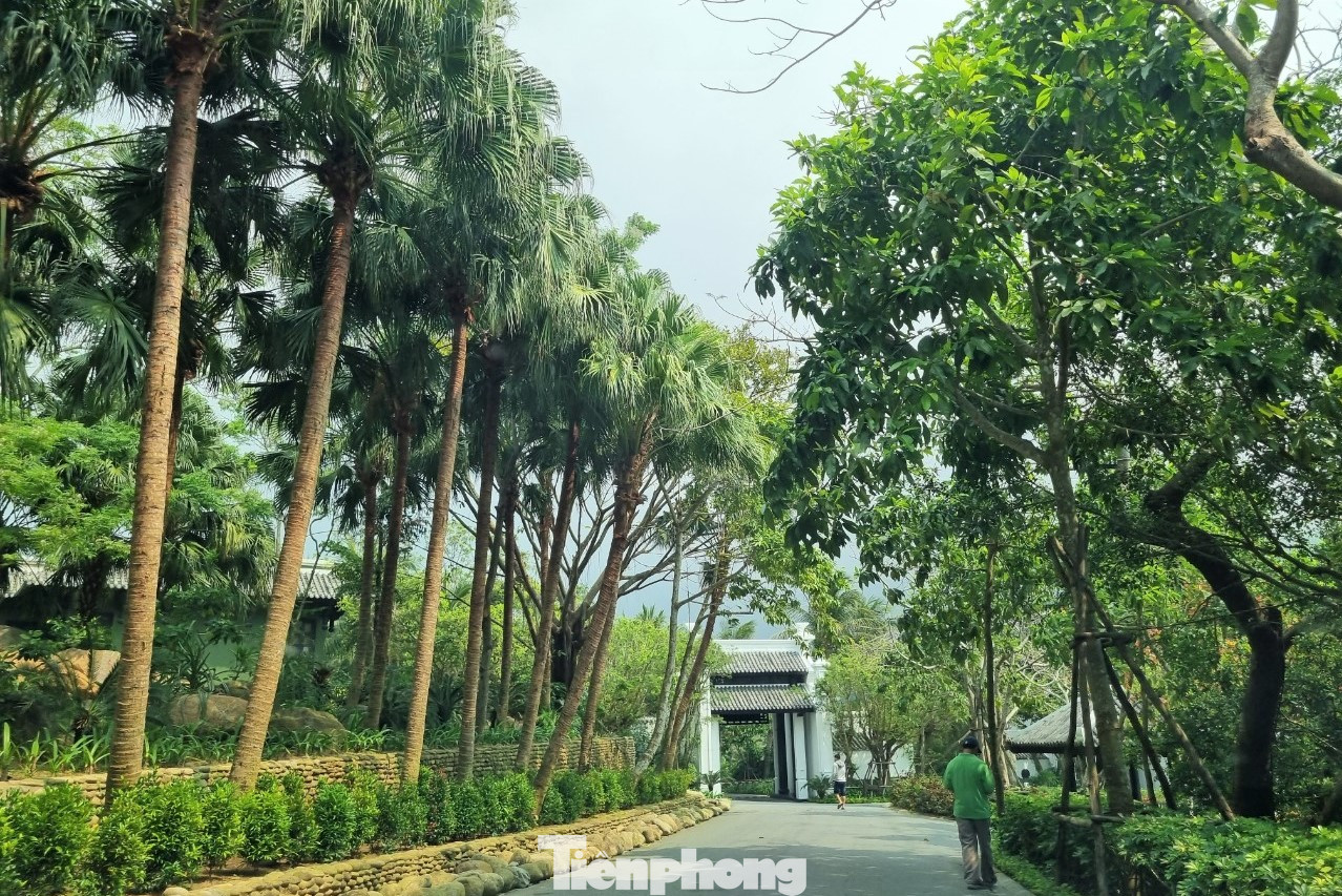 Theo nguồn tin riêng của Tiền Phong, chuyến đi tới Đà Nẵng lần này, tỷ phú Bill Gates đã lưu trú tại khu nghỉ dưỡng InterContinental Đà Nẵng trên bán đảo Sơn Trà. Đây cũng là nơi mà Tổng thống Mỹ Donald Trump ở khi đến Đà Nẵng tham dự hội nghị thượng đỉnh APEC năm 2017. Trong ảnh: Đường vào khu nghỉ dưỡng.