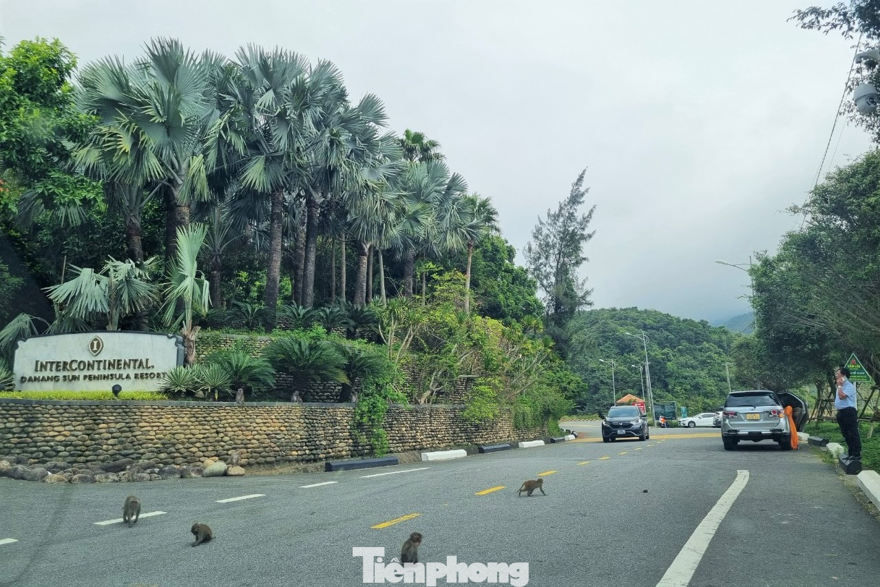Theo nguồn tin riêng của Tiền Phong, chuyến đi tới Đà Nẵng lần này, tỷ phú Bill Gates đã lưu trú tại khu nghỉ dưỡng InterContinental Đà Nẵng trên bán đảo Sơn Trà. Đây cũng là nơi mà Tổng thống Mỹ Donald Trump ở khi đến Đà Nẵng tham dự hội nghị thượng đỉnh APEC năm 2017. Trong ảnh: Đường vào khu nghỉ dưỡng.