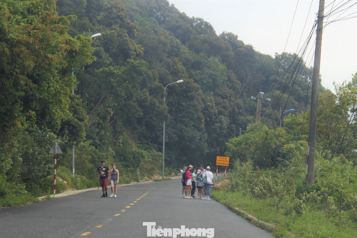 Đây được ví như lá phổi xanh của Đà Nẵng. Các cánh rừng Sơn Trà gần như ở dạng nguyên sinh, mọi tuyến đường đều xanh màu lá. Không khí trên bán đảo mát lạnh ngay cả giữa mùa hè.