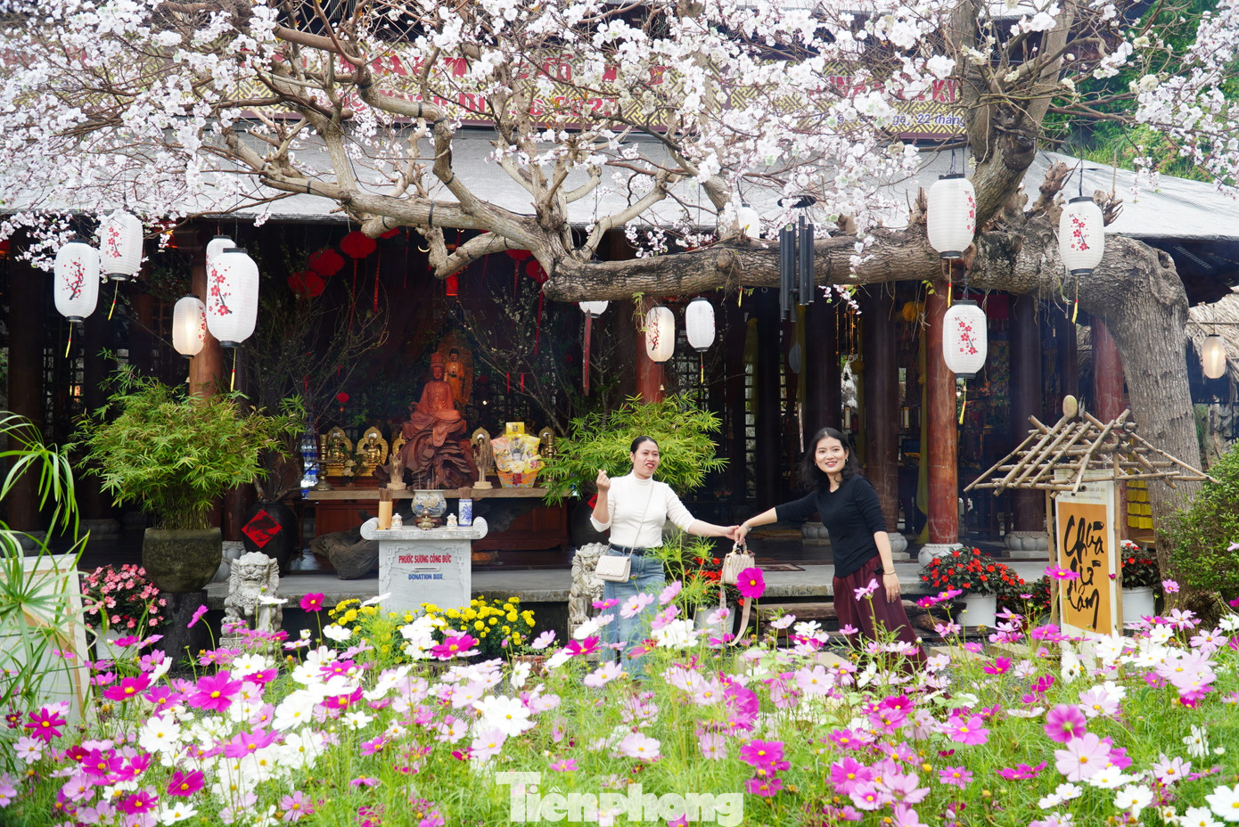 Hoa khoe sắc thắm giữa sân chùa. Dịp rằm tháng Giêng, người dân, du khách, phật tử khắp nơi tìm về chùa Từ Tâm. Từ cổng chính của danh thắng Ngũ Hành Sơn leo lên nhiều bậc thang, ngang qua chùa Tam Thai sẽ đến chùa Từ Tâm dựa lưng vào núi.