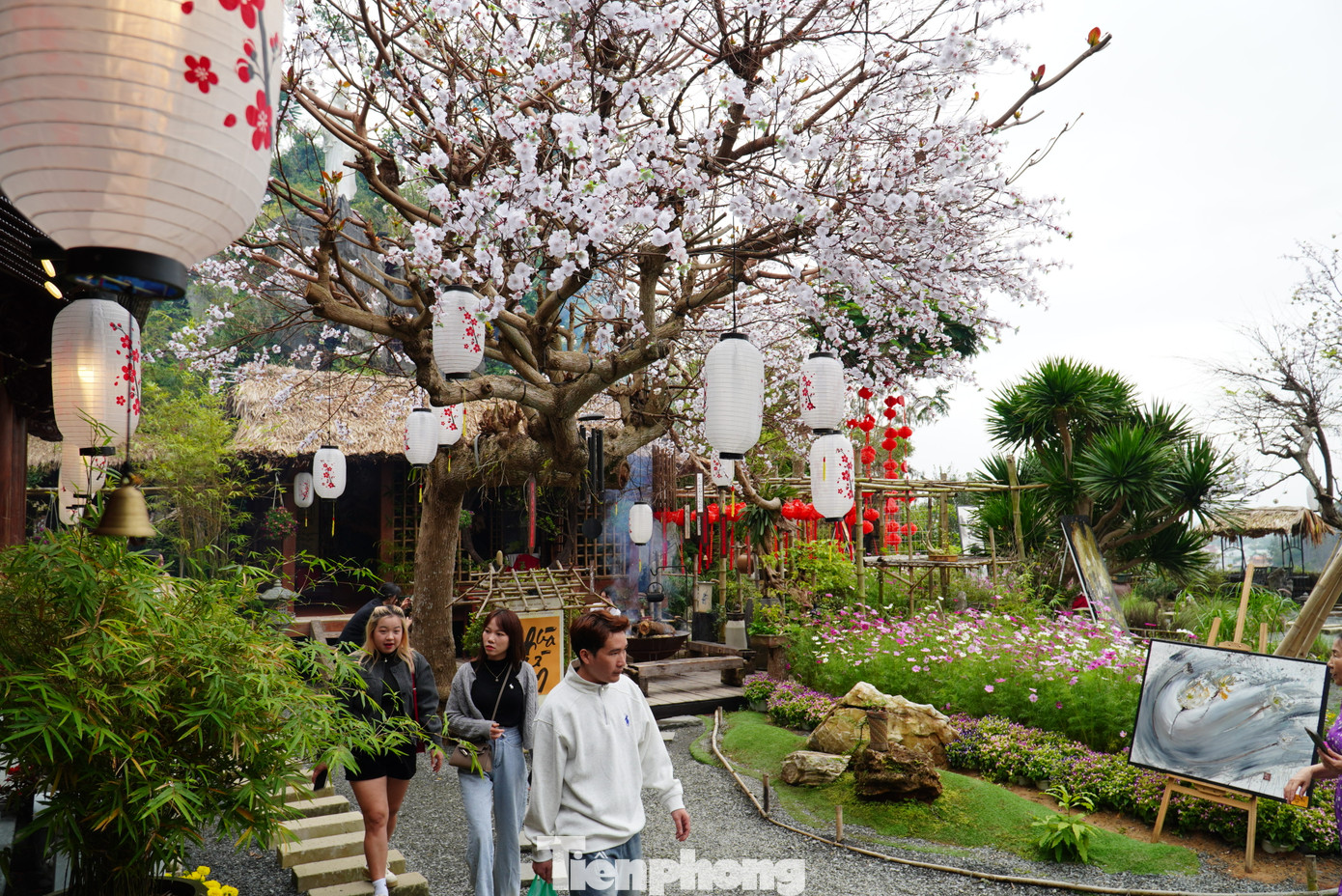 Sân chùa không khi nào ngớt khách. Nguyễn Hà Minh (27 tuổi, quận Cẩm Lệ) cho hay mới chỉ biết đến chùa Từ Tâm cách đây vài ngày nhờ xem giới thiệu các điểm đến dịp rằm tháng Giêng trên mạng. "Em đã đi Ngũ Hành Sơn nhiều lần, đến nhiều chùa nhưng chưa hề nghe tới chùa Từ Tâm. Mấy hôm trước xem review trên mạng xã hội, em và bạn bè đều ngạc nhiên vì ngôi chùa đẹp quá nên rủ nhau cùng đi", Hà Minh kể.