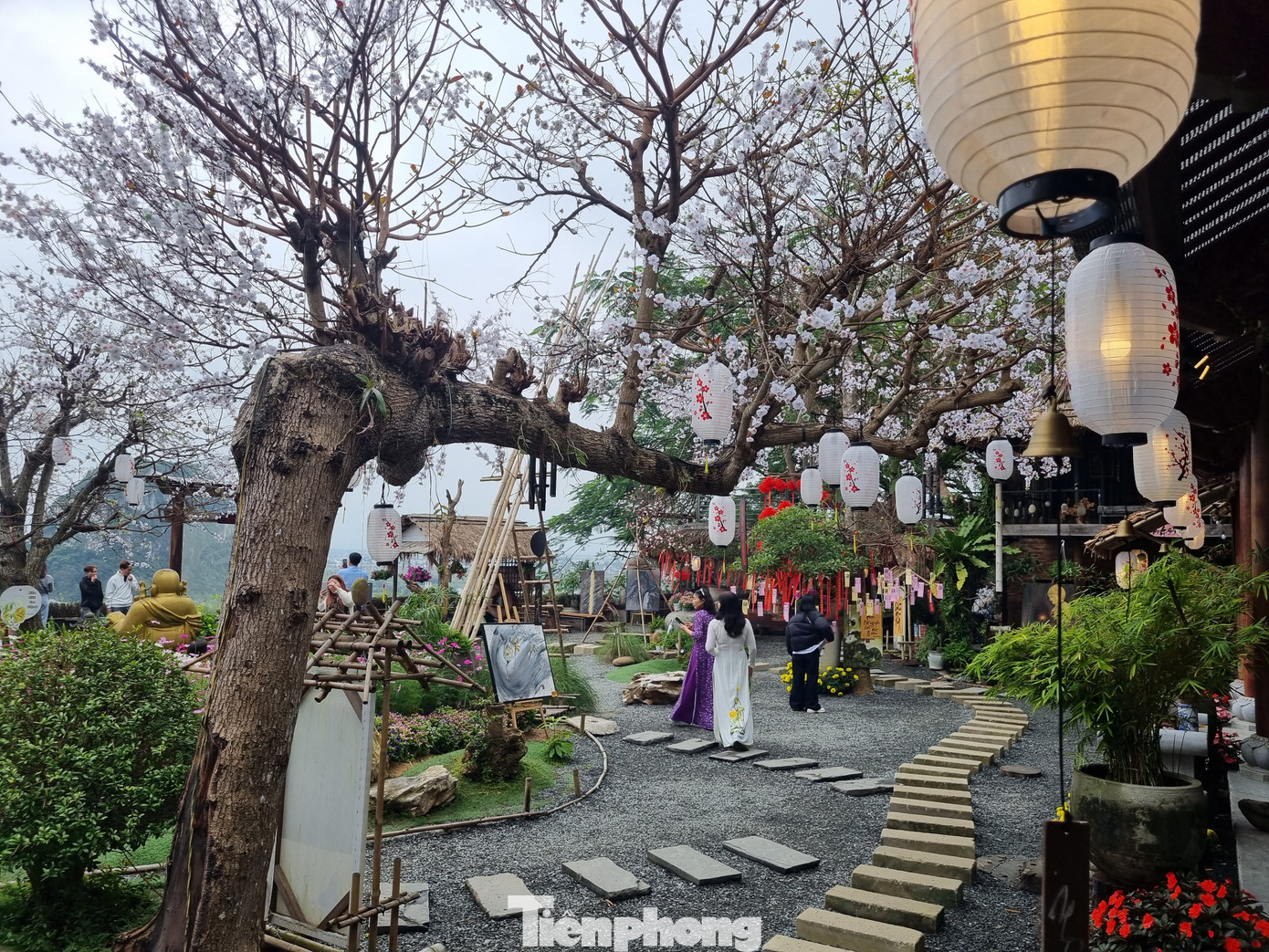 Góc sân chùa đẹp hệt như cảnh phim. “Ở Đà Nẵng nhiều năm, bây giờ tôi mới biết có một ngôi chùa đẹp như vậy ở Ngũ Hành Sơn. Chùa không lớn nhưng góc nào cũng tuyệt, cảnh sắc như trong phim vậy”, chị Lệ Hằng (35 tuổi, quận Thanh Khê) chia sẻ.