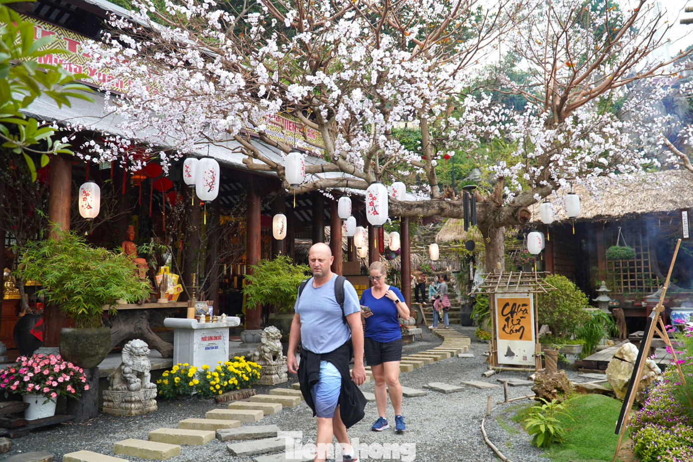 Anh Lucas (Úc) bày tỏ ngạc nhiên trước kiến trúc, cảnh vật, trang trí ở ngôi chùa. "Tôi thấy có chút gì đó pha trộn giữa Việt Nam và Nhật Bản. Đây là một trong những điểm đến tôi yêu thích nhất khi tới Đà Nẵng. Nơi này mang lại cho tôi cảm giác thư giãn, thoải mái", anh chia sẻ.