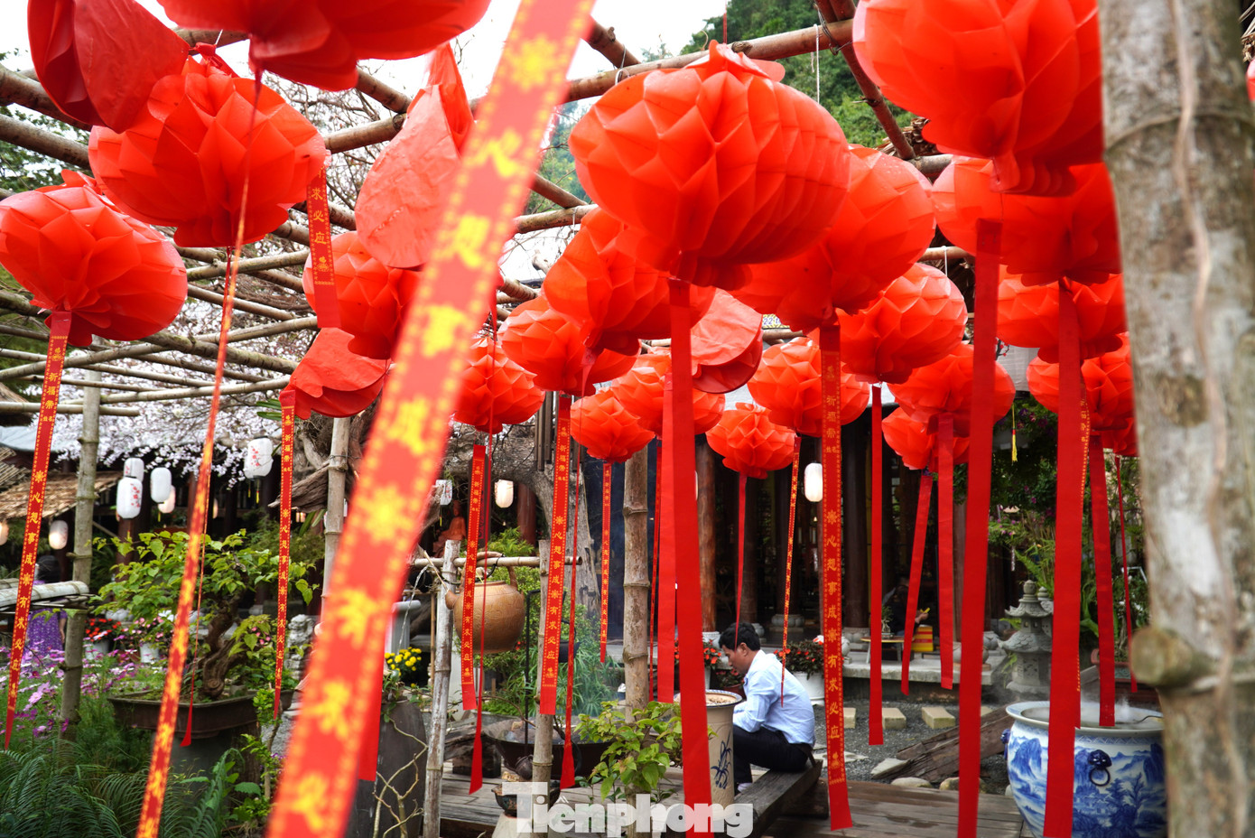 Chùa vẫn rực rỡ sắc hoa, ngập không khí Tết.