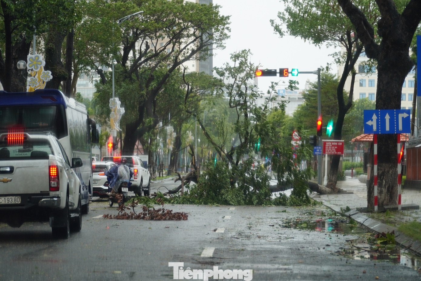 Đường Trần Phú đoạn gần Trung tâm hành chính thành phố cũng bị gió quật ngã cây. Theo người dân, từ 4-8h sáng 27/10 gió rất mạnh, mưa to, các cây bắt đầu đổ nhiều trong khoảng thời gian này.