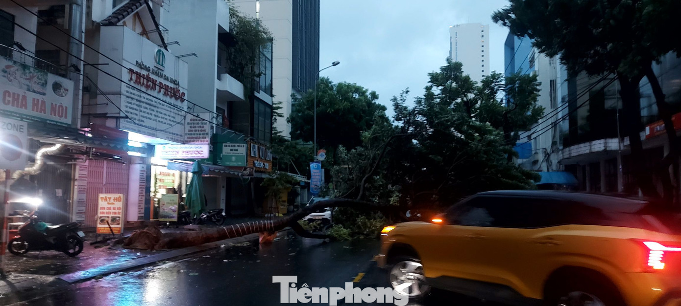 Cây xanh nhiều nơi ngã đổ. Trong ảnh: Cây xanh trên đường Quang Trung đổ từ sáng sớm, chắn ngang đường cản trở việc đi lại của người dân. UBNDTP Đà Nẵng yêu cầu người dân hạn chế ra đường từ 10h ngày 27/10.