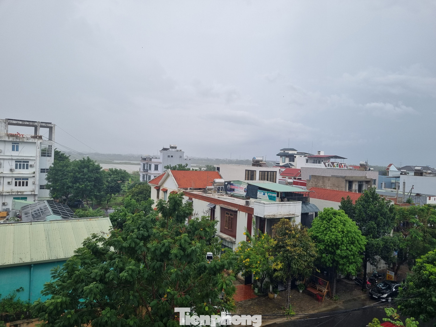 Kiến ba khoang hoạt động mạnh vào đầu mùa mưa, khi độ ẩm cao, những khu vực ở gần sông, nhiều cây cối càng dễ bị kiến tấn công.