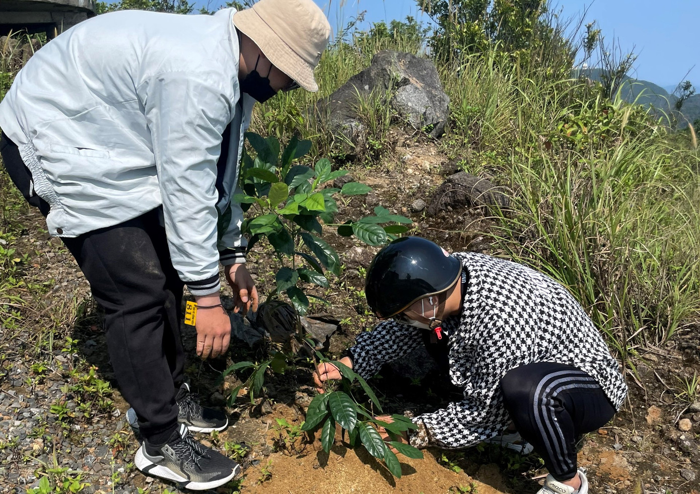 Dịp lễ tới đây, bán đảo Sơn Trà và các bãi biển Đà Nẵng sẽ diễn ra nhiều hoạt động thu hút du khách như: thả diều, cờ tướng, dù lượn, thể thao biển....