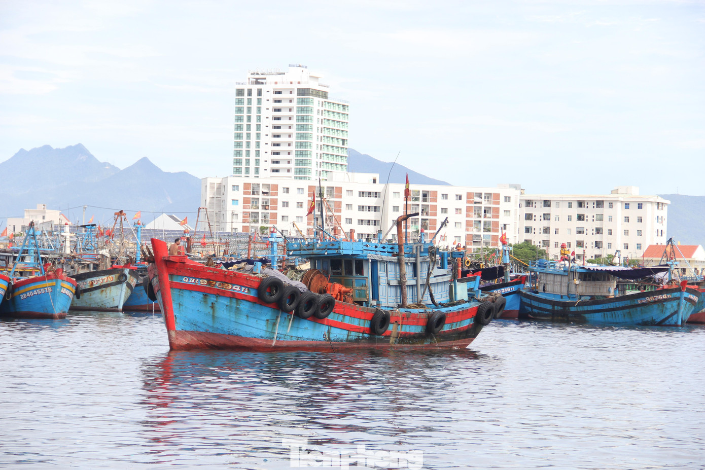 Mỗi ngày, cảng cá Thọ Quang có hơn 3.000 lượt người ra vào, khoảng 50 lượt tàu và hàng trăm xe ô tô chở thủy sản với sản lượng hơn 300 tấn.