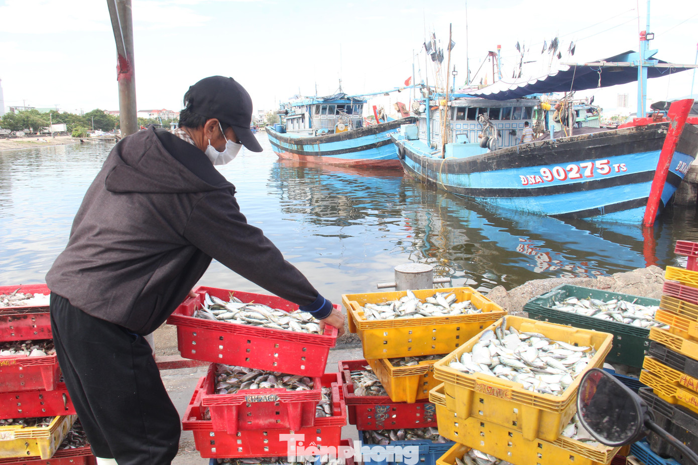 Các hộ buôn bán tại cảng đã xuất hàng tươi, hàng ướp đá đi các tỉnh thành và các chợ trong sáng cùng ngày.