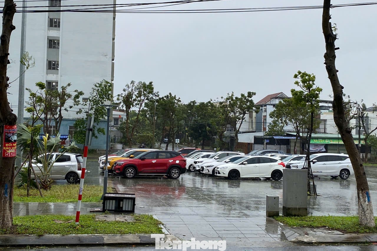 Các hộ dân tại phường Hòa Thọ Đông (quận Cẩm Lệ) mang ô tô đến công viên vì sợ cây ngã đè lên. Chị Thu Nga (đường Lê Hy) cho hay xung quanh nhà chị đã có nhiều cây ngã nên rất lo. &quot;Đêm qua mọi người trong chung cư đã nhắc nhau đem xe ra khỏi khu vực có nhiều cây. Nhà tôi sẽ để ở đây đến hết ngày mai mới mang xe về cho an toàn&quot;, chị nói.