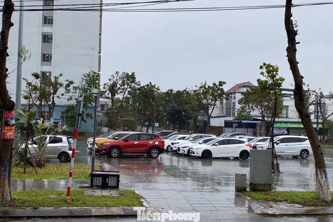 Các hộ dân tại phường Hòa Thọ Đông (quận Cẩm Lệ) mang ô tô đến công viên vì sợ cây ngã đè lên. Chị Thu Nga (đường Lê Hy) cho hay xung quanh nhà chị đã có nhiều cây ngã nên rất lo. "Đêm qua mọi người trong chung cư đã nhắc nhau đem xe ra khỏi khu vực có nhiều cây. Nhà tôi sẽ để ở đây đến hết ngày mai mới mang xe về cho an toàn", chị nói.