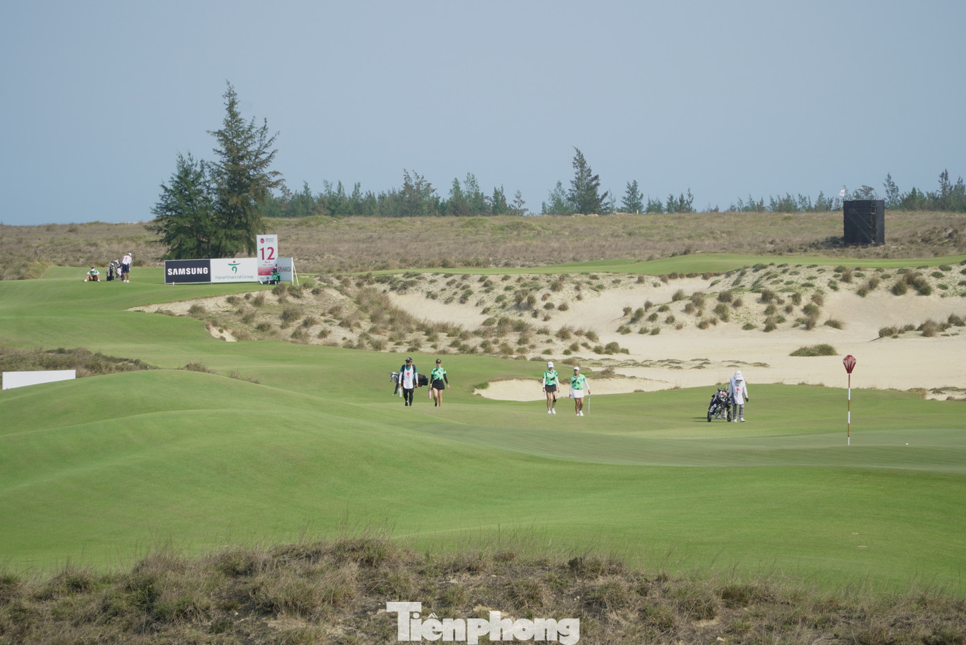 WAAP Championship diễn ra trên sân par71 thuộc Hoiana Shores Golf Club với 4 vòng đấu gậy, trong đó cắt loại theo nguyên tắc trao quyền đi tiếp cho nhóm top 50 bảng thành tích sau 2 vòng.