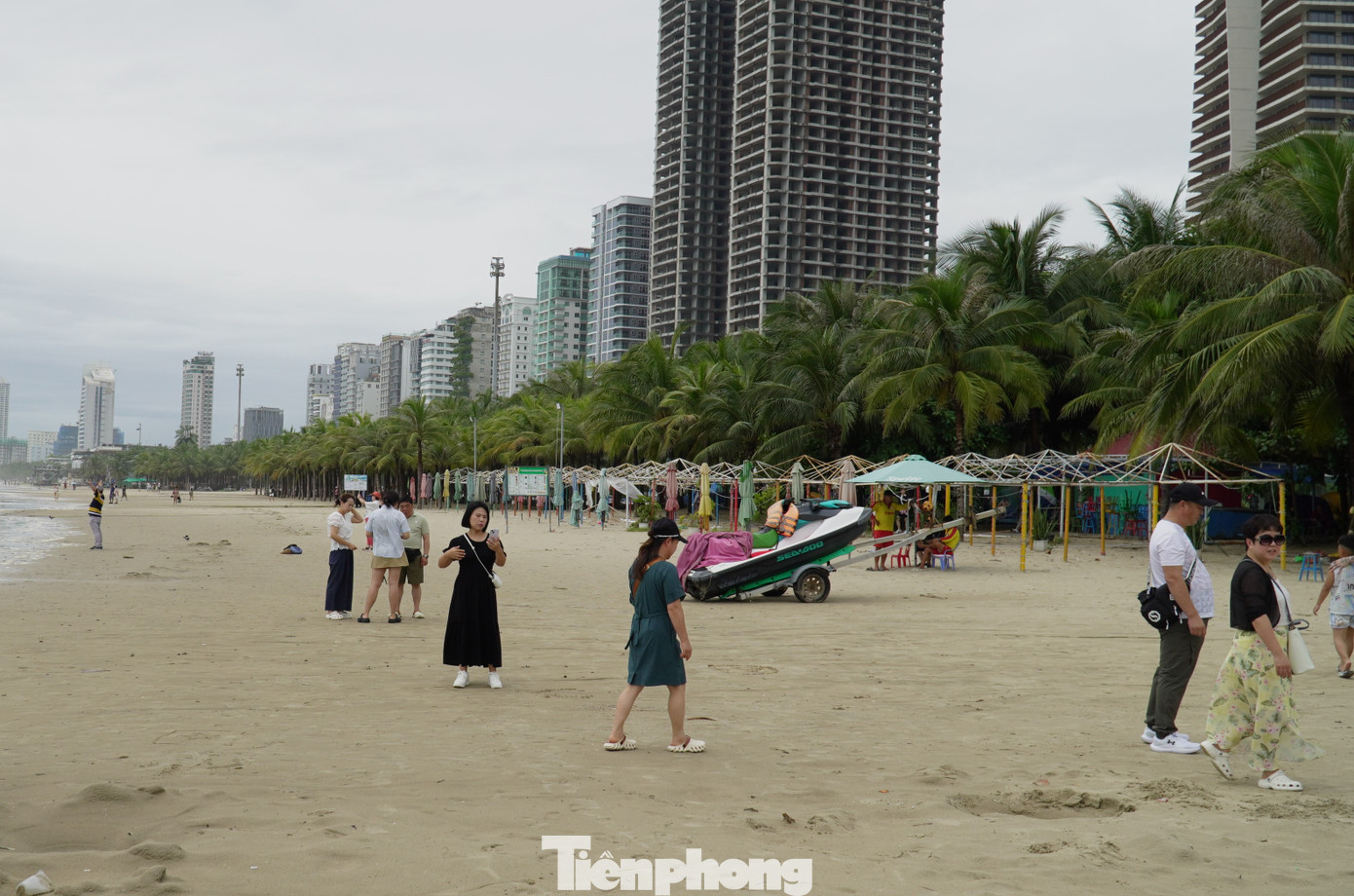 Cây dừa sẽ góp phần giảm thiểu tác động của biến đổi khí hậu, hạn chế tình trạng xâm thực và sạt lở bờ biển. Ảnh: Thanh Hiền.