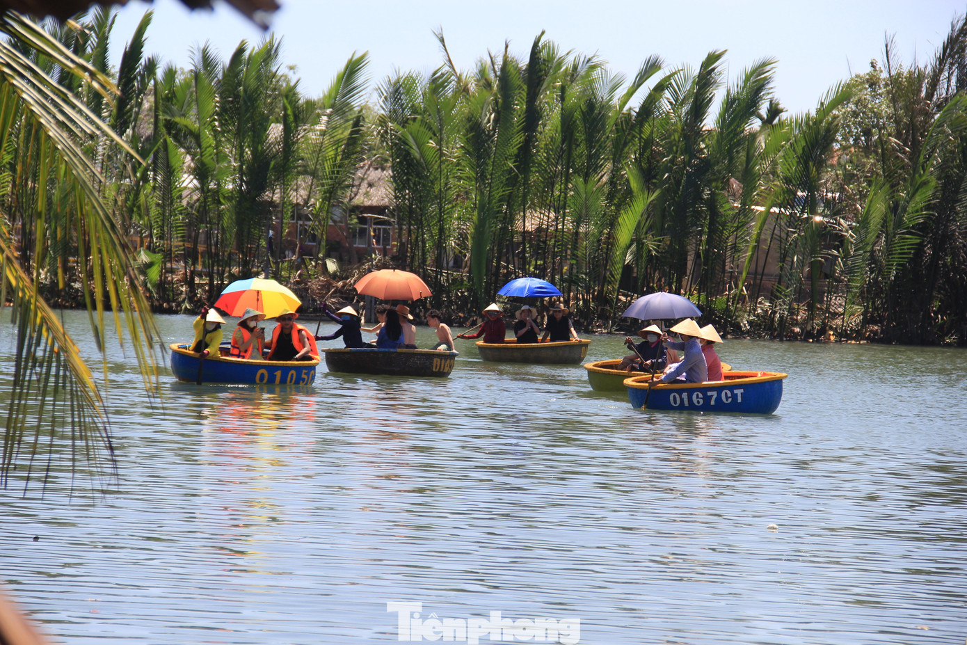Đi thúng trong rừng dừa nước là trải nghiệm độc đáo khi tới Hội An. Đi thúng trong rừng dừa nước là trải nghiệm độc đáo khi tới Hội An.