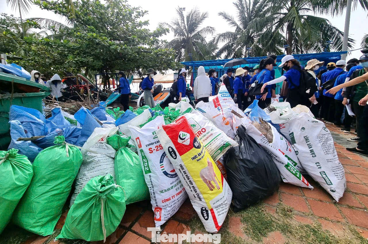 Những bao rác sau khi được thu gom sẽ được tập kết lại để đem đi tiêu huỷ. “Mỗi người cùng góp một cánh tay thì bãi biển sẽ không còn rác, những rạn san hô bên dưới được giải cứu khỏi bao nilon, lưới ma. Em muốn góp một chút công sức nhỏ bé của mình để Sơn Trà xanh, sạch hơn”, Thanh Thái - Trường Đại học Thể dục thể thao chia sẻ. Những bao rác sau khi được thu gom sẽ được tập kết lại để đem đi tiêu huỷ. “Mỗi người cùng góp một cánh tay thì bãi biển sẽ không còn rác, những rạn san hô bên dưới được giải cứu khỏi bao nilon, lưới ma. Em muốn góp một chút công sức nhỏ bé của mình để Sơn Trà xanh, sạch hơn”, Thanh Thái - Trường Đại học Thể dục thể thao chia sẻ.