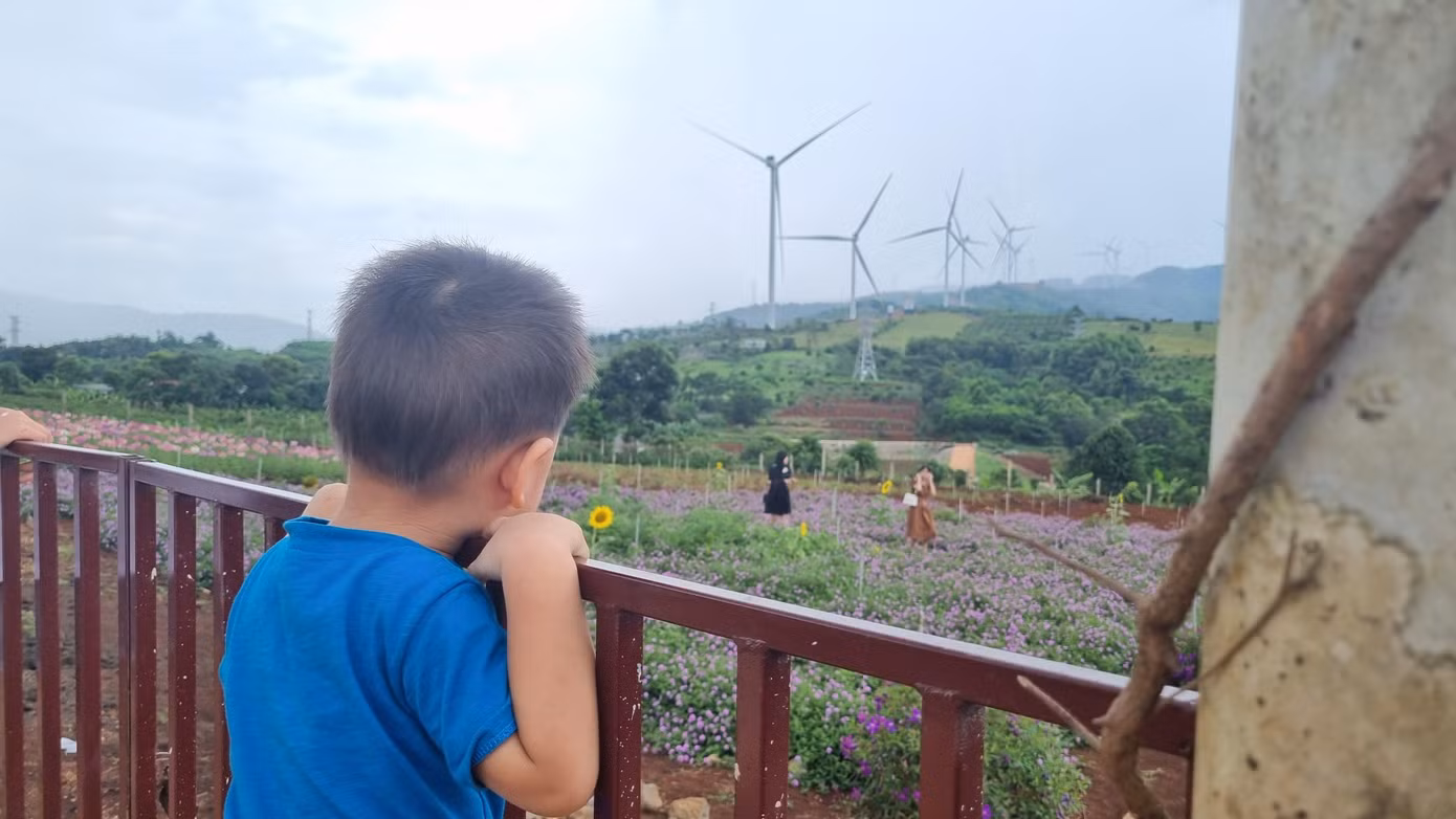 Nhiều quán xá đã mọc lên để du khách tới chụp hình lấy khung cảnh cánh đồng điện gió với những chiếc "chong chóng khổng lồ" phía sau.