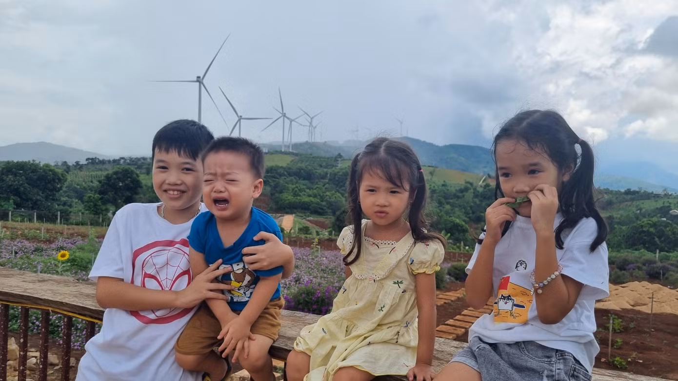Nhiều gia đình đưa con cái tới đây để các bé mở mang, biết về điện gió, cảnh quan....