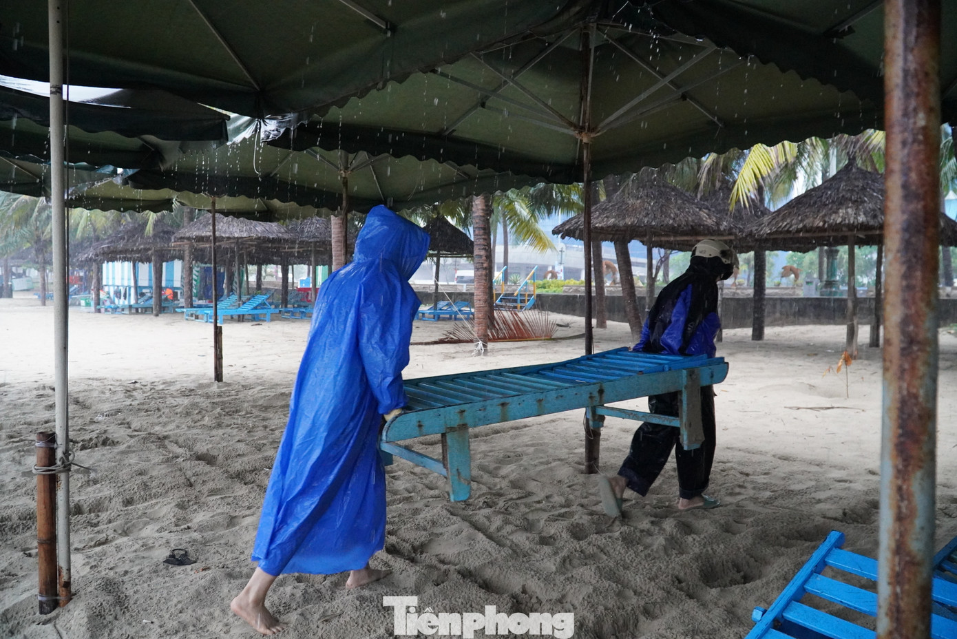 Dự báo trong ngày và đêm nay (18/9), áp thấp nhiệt đới di chuyển chủ yếu theo hướng Tây Tây Nam với tốc độ nhanh, khoảng 20km/h và mạnh lên thành bão số 4. Đến 4 giờ sáng mai (19/9), tâm bão cách đất liền các tỉnh Quảng Bình đến Đà Nẵng khoảng 340km về phía Đông Đông Nam với sức gió mạnh nhất vùng gần tâm bão mạnh cấp 8, giật cấp 10. Ảnh: Thanh Hiền.