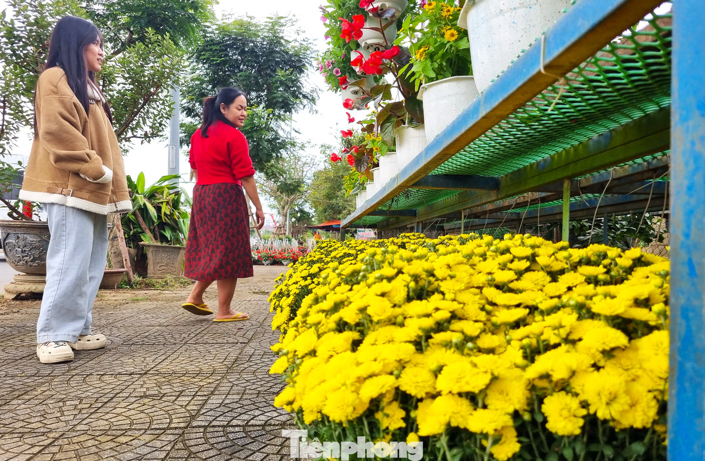 Năm nay, chợ hoa Tết Ất Tỵ Đà Nẵng sẽ diễn ra từ ngày 19 - 28/1 (tức 20 - 29 tháng Chạp) tại khu vực xung quanh Cung thể thao Tiên.