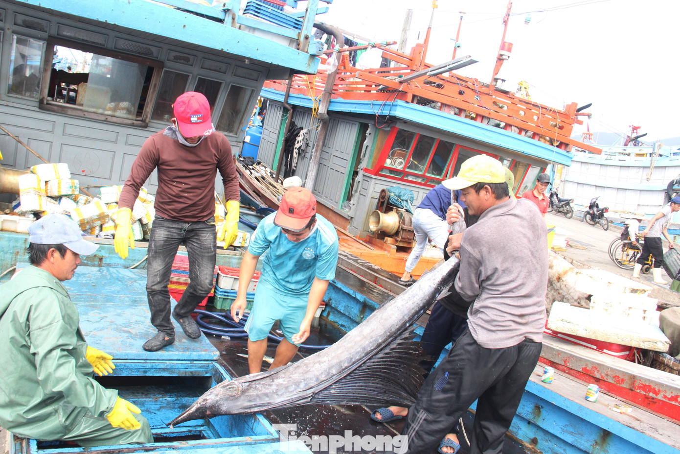 Cảng cá Thọ Quang sẽ tạm ngừng hoạt động từ 15h ngày 26.7. Ảnh: Thanh Trần.