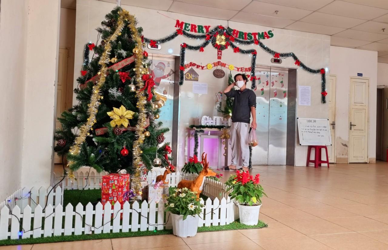 Tại chung cư CT03 (phường Hòa Thọ Đông, quận Cẩm Lệ), không khí giáng sinh tràn ngập trước sảnh những ngày qua. Các hộ dân cùng đóng góp mua cây thông, đồ trang trí...