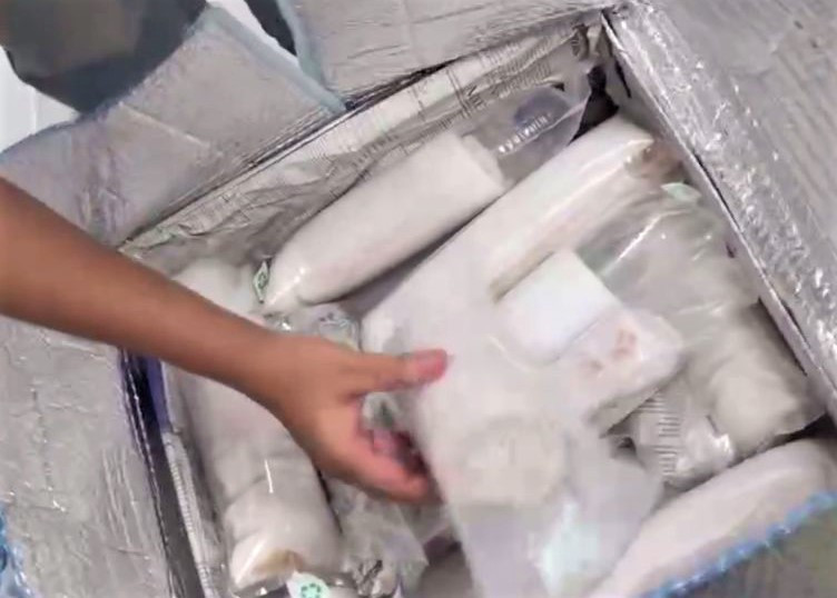 Tôm hùm giống được phát hiện tại sân bay Đà Nẵng.