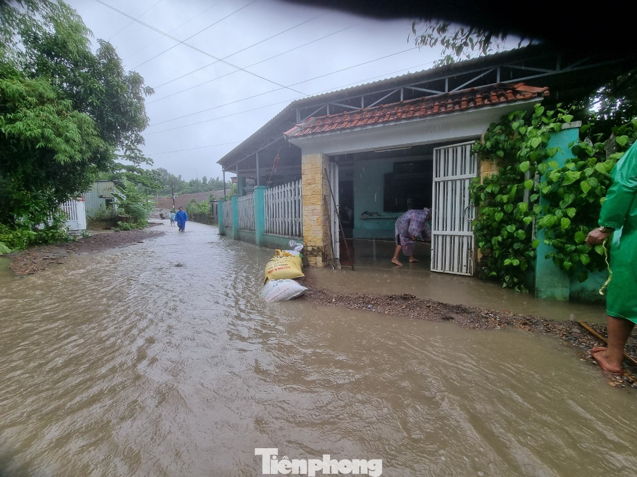 Nước tràn vào nhà, để lại bùn non đóng lớp. Chị Nguyễn Thị Hòa (tổ 5, phường Hoà Thọ Tây) cho hay suốt đêm qua nước cứ vào rồi rút liên tục. "Hễ dọn lớp bùn này chưa xong là nước lại dâng lên. Nhà tôi bị ngập hơn mắt cá chân, ngoài sân thì vừa bùn vừa đất đá, không biết dọn sao cho xuể", chị nói.