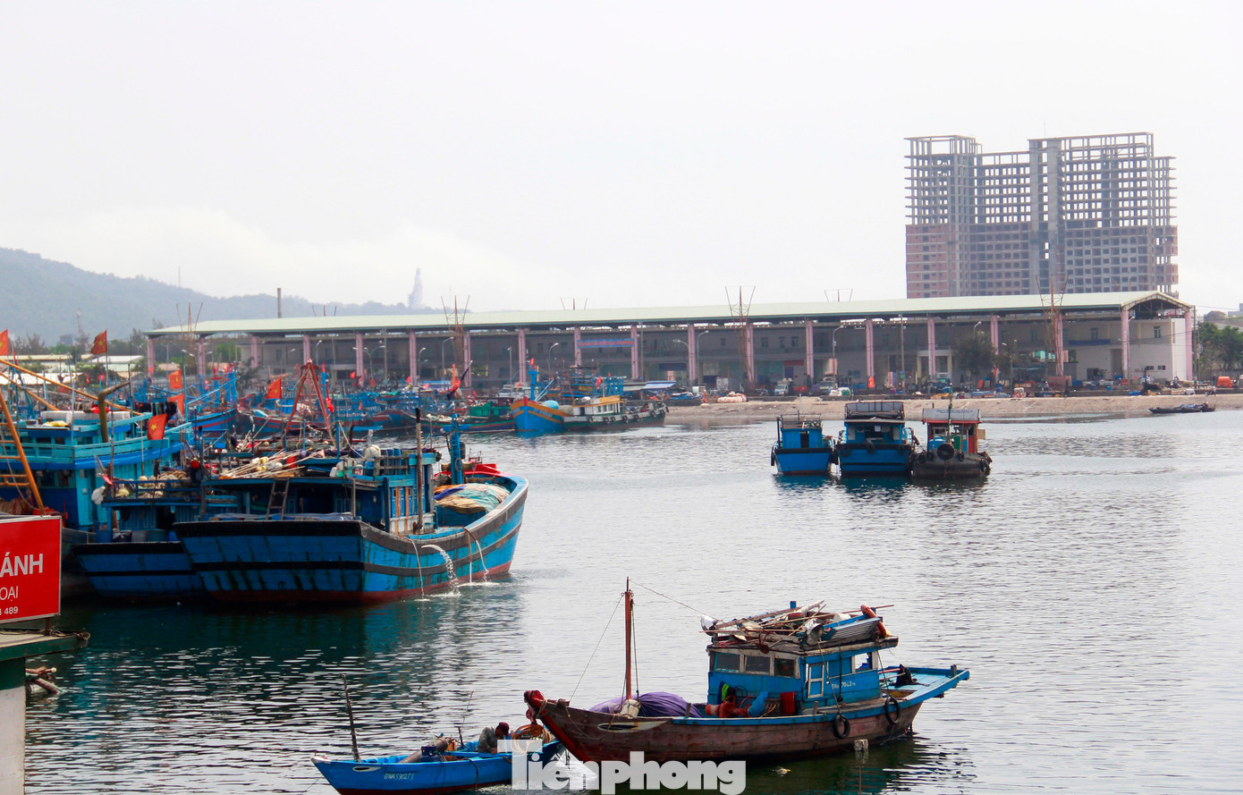 Cảng cá Thọ Quang nằm trên hai phường Nại Hiên Đông và Thọ Quang, được xem là cảng cá lớn nhất miền Trung. Đây là 2 trong 5 phường của quận Sơn Trà đã bị phong tỏa cứng, các chốt kiểm soát rất nghiêm ngặt. Ông Lĩnh chia sẻ, chỉ có chủ tàu cư trú ở hai phường này được vào cảng. Còn ở các nơi khác thì các chốt không cho qua do đang giãn cách.