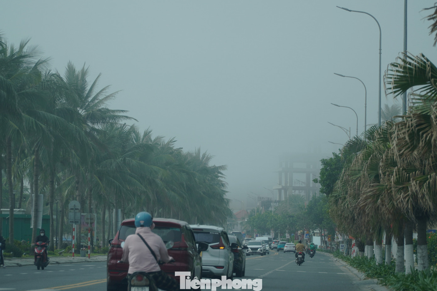 Sương mù xuất hiện làm tuyến đường biển ở Đà Nẵng huyền ảo như Đà Lạt. Sương mù xuất hiện làm tuyến đường biển ở Đà Nẵng huyền ảo như Đà Lạt.