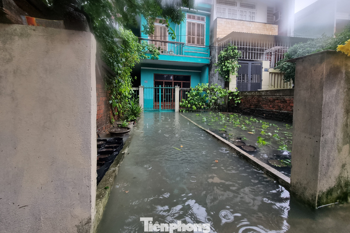 Các hộ dân tại kiệt 640 Trưng Nữ Vương bị ngập nặng. Con kiệt này ngập từ đầu đến cuối, càng vào sâu càng ngập nặng. Các hộ dân tại kiệt 640 Trưng Nữ Vương bị ngập nặng. Con kiệt này ngập từ đầu đến cuối, càng vào sâu càng ngập nặng.