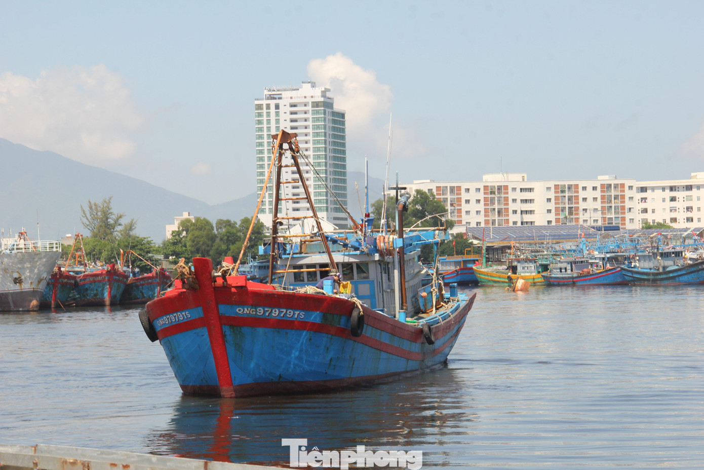 Hiện Sở NN&amp;PTNT chưa cho phép tàu cá của ngư dân ngoại tỉnh không xuất bến tại cảng cá Thọ Quang vào bốc dỡ hàng hóa; chưa cho phép tiểu thương không có mặt bằng cố định, những người buôn bán nhỏ lẻ, tiểu thương bán hàng tạp hóa, ăn uống, giải khát… hoạt động.