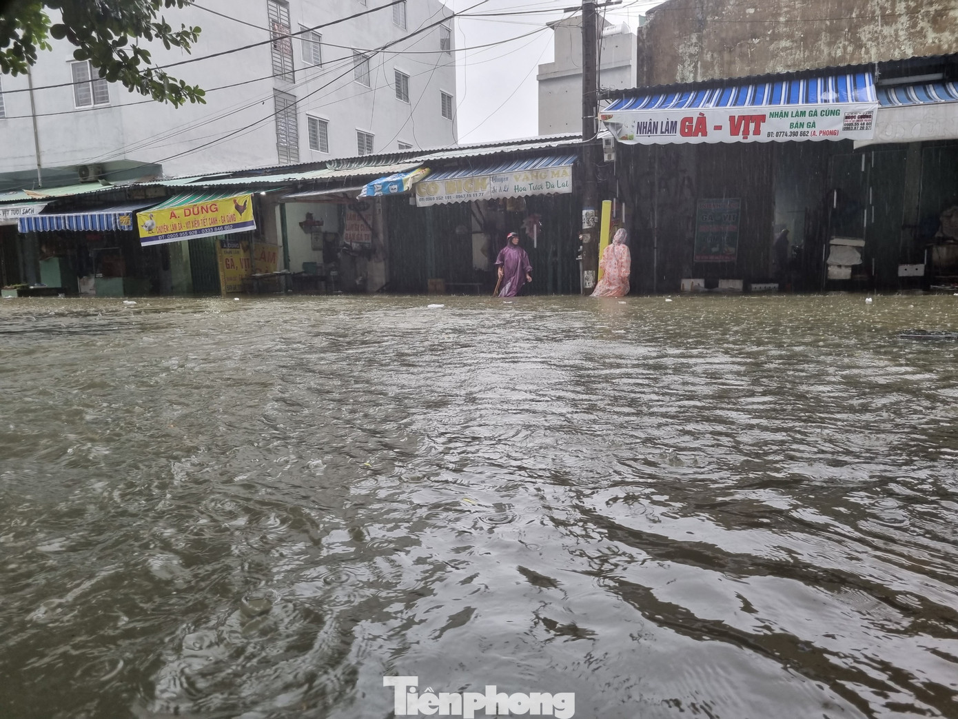 Hàng loạt tiểu thương chợ Hòa cẩm (quận Cẩm Lệ, thành phố Đà Nẵng) cả ngày hôm nay (14/10) đội mưa ngồi bán giữa đường do chợ bị nước tấn công. Cả khu chợ hóa thành sông. Chị Nguyễn Thị Lan (quận Cẩm Lệ) cho hay đêm qua mưa to nhưng không nghĩ chợ ngập nhanh đến vậy. "Sáng nay ra thì thấy nước mênh mông, hàng hóa lỡ đặt rồi nên phải ra đường ngồi bán cho hết", chị nói. (Ảnh: Thanh Trần).