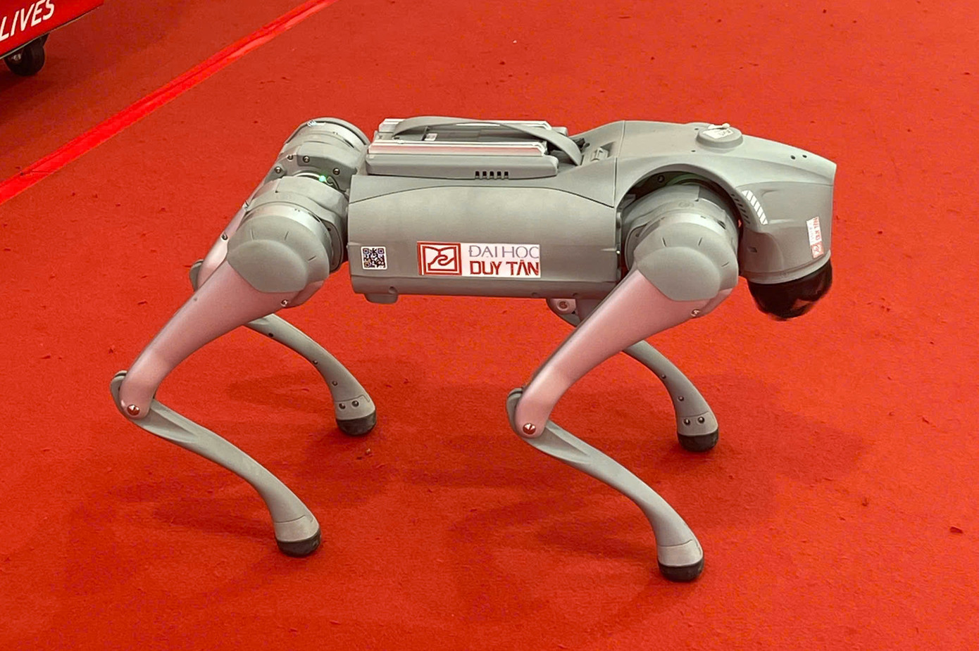 Dog Go2 còn khiến người xem thích thú khi vờn chú chó nghiệp vụ khiến chú chó này định xông vào tấn công.