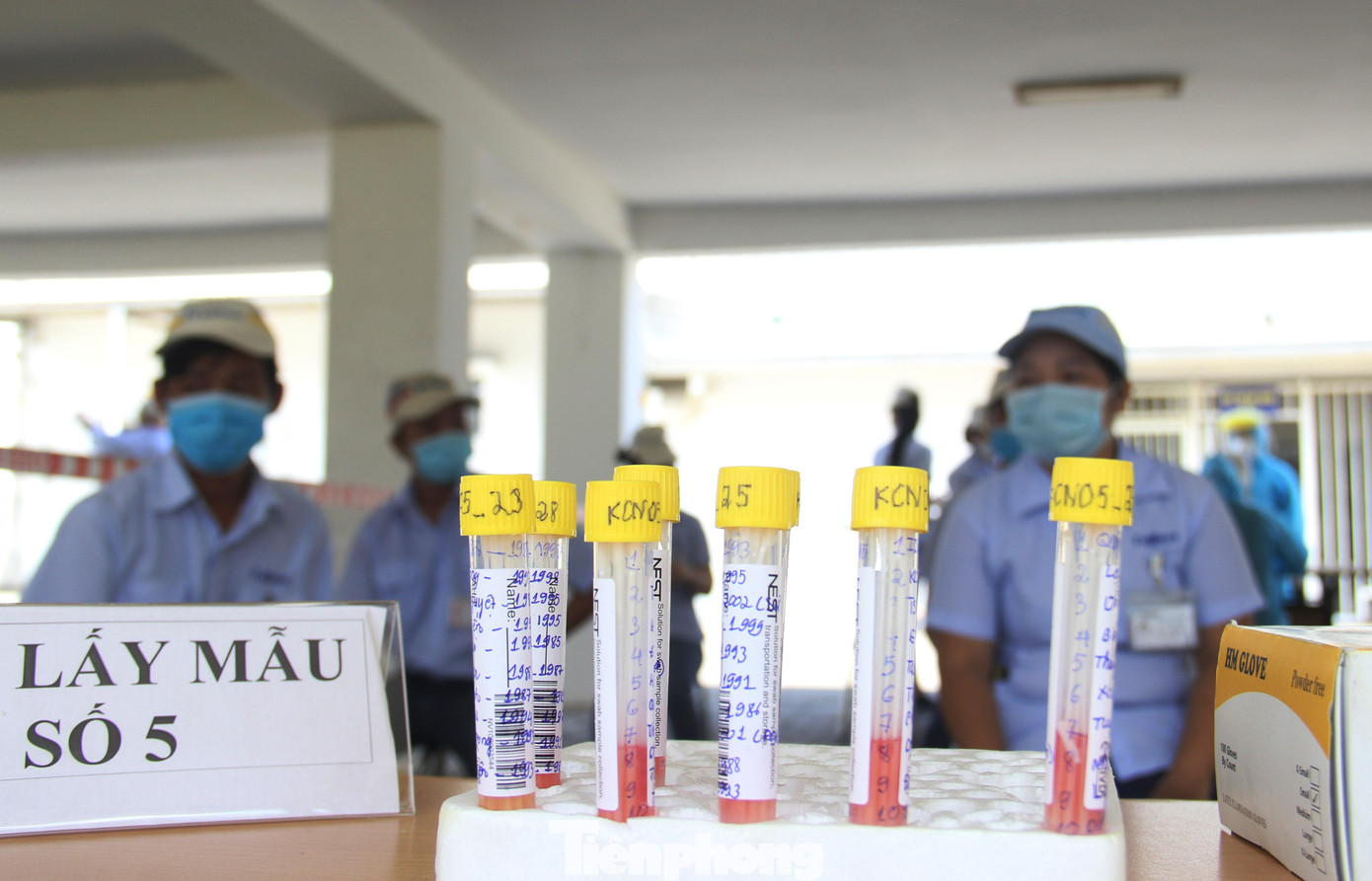 Việc xét nghiệm sẽ được tiến hành theo mẫu gộp 10. Ảnh: Thanh Trần. Việc xét nghiệm sẽ được tiến hành theo mẫu gộp 10. Ảnh: Thanh Trần.