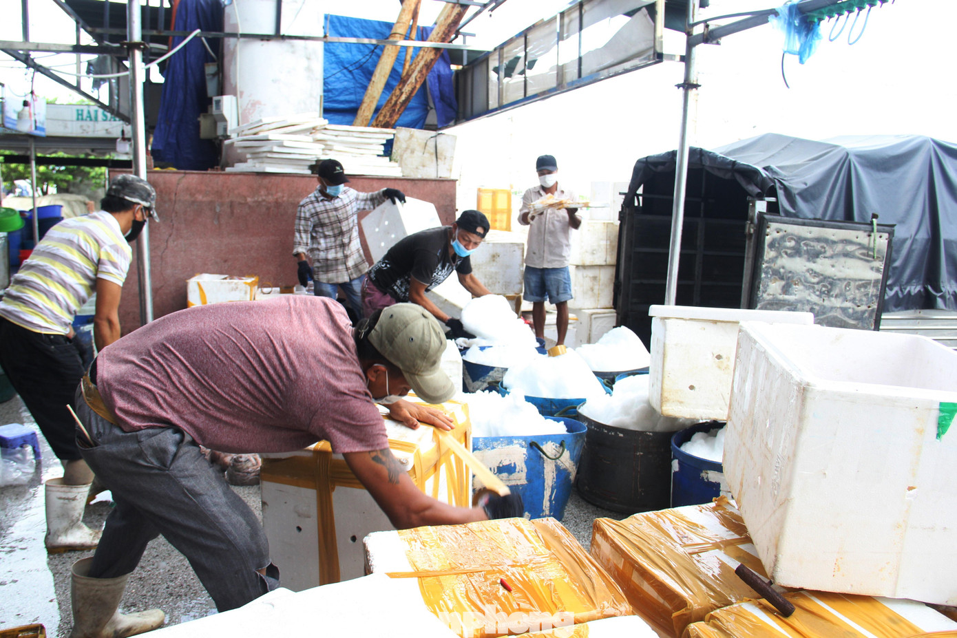 Nhận được thông báo các thương nhân, nậu cá và tàu thuyền tại khẩn trương đến cảng để “giải phóng” hàng.