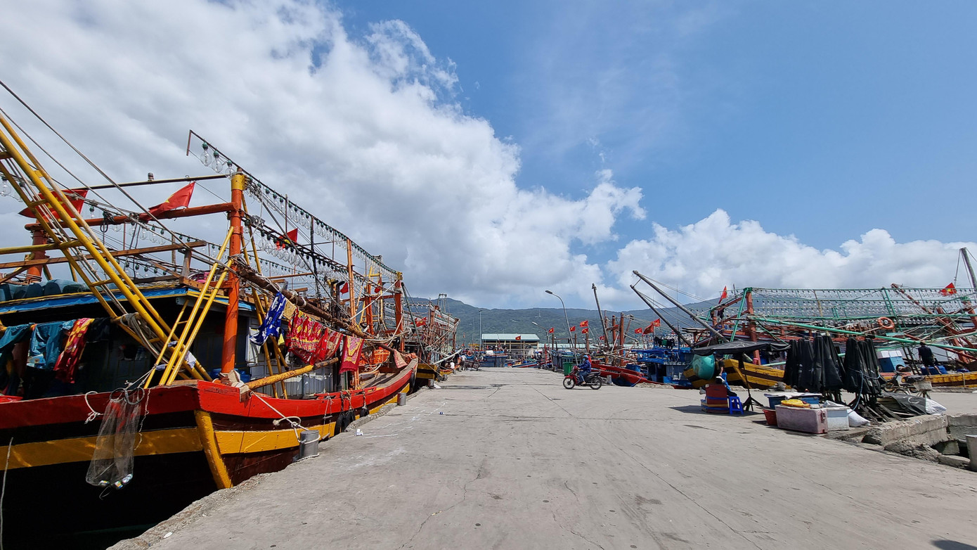 Ông Trần Văn Lĩnh, Chủ tịch Hội nghề cá TP Đà Nẵng cũng nhìn nhận giá dầu tăng cao là trở ngại rất lớn đối với các tàu đánh bắt. Ông nêu thực tế thời gian gần đây, các tàu đi biển rất ít, chỉ trừ các loại tàu đánh bắt thời vụ gần bờ như đánh ruốc, cá khoai, cá hố… Ông Trần Văn Lĩnh, Chủ tịch Hội nghề cá TP Đà Nẵng cũng nhìn nhận giá dầu tăng cao là trở ngại rất lớn đối với các tàu đánh bắt. Ông nêu thực tế thời gian gần đây, các tàu đi biển rất ít, chỉ trừ các loại tàu đánh bắt thời vụ gần bờ như đánh ruốc, cá khoai, cá hố…