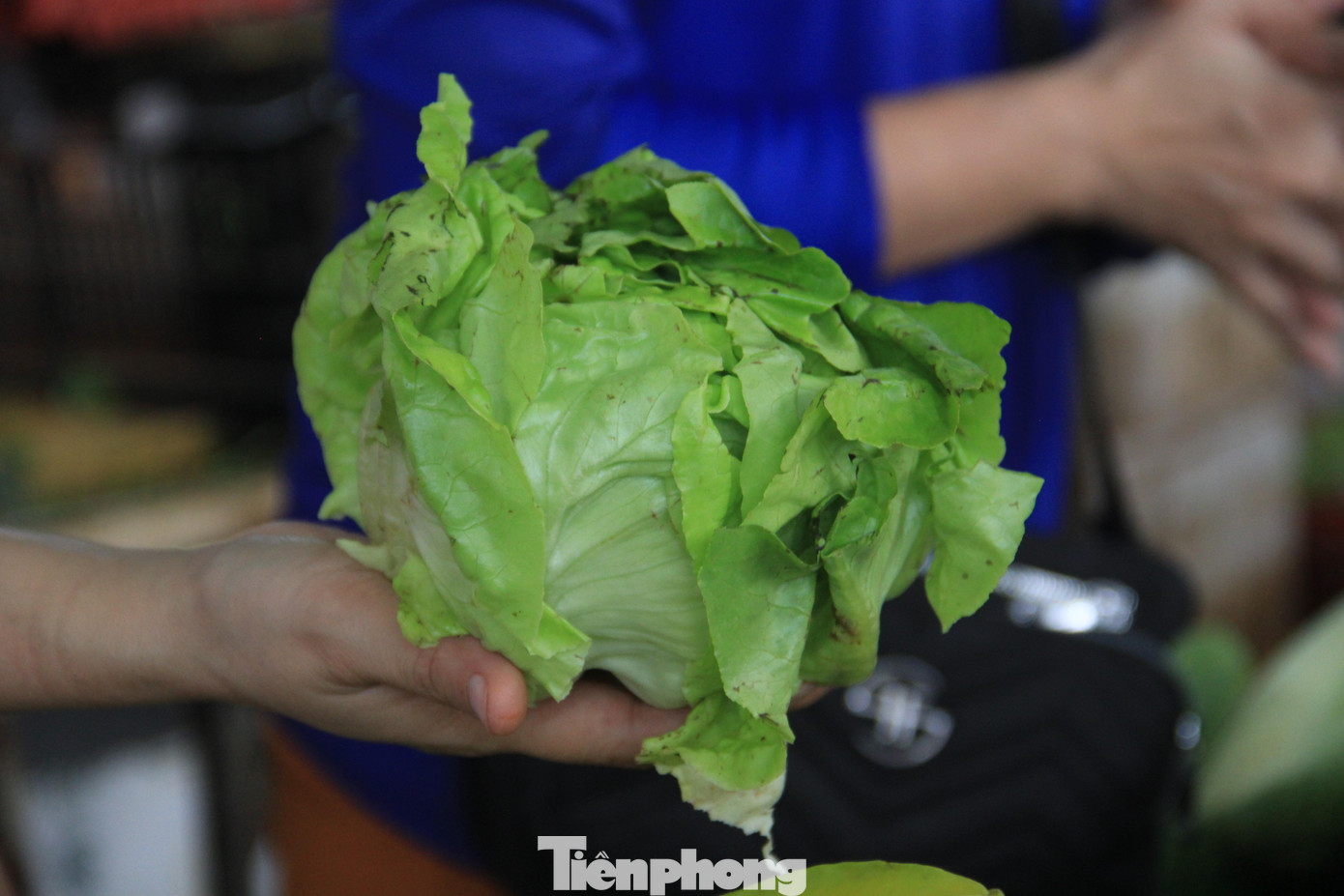 Bán chạy nhất là các loại rau xanh do người dân sợ mưa bão, và ngày nữa sẽ không có rau, giá đắt.