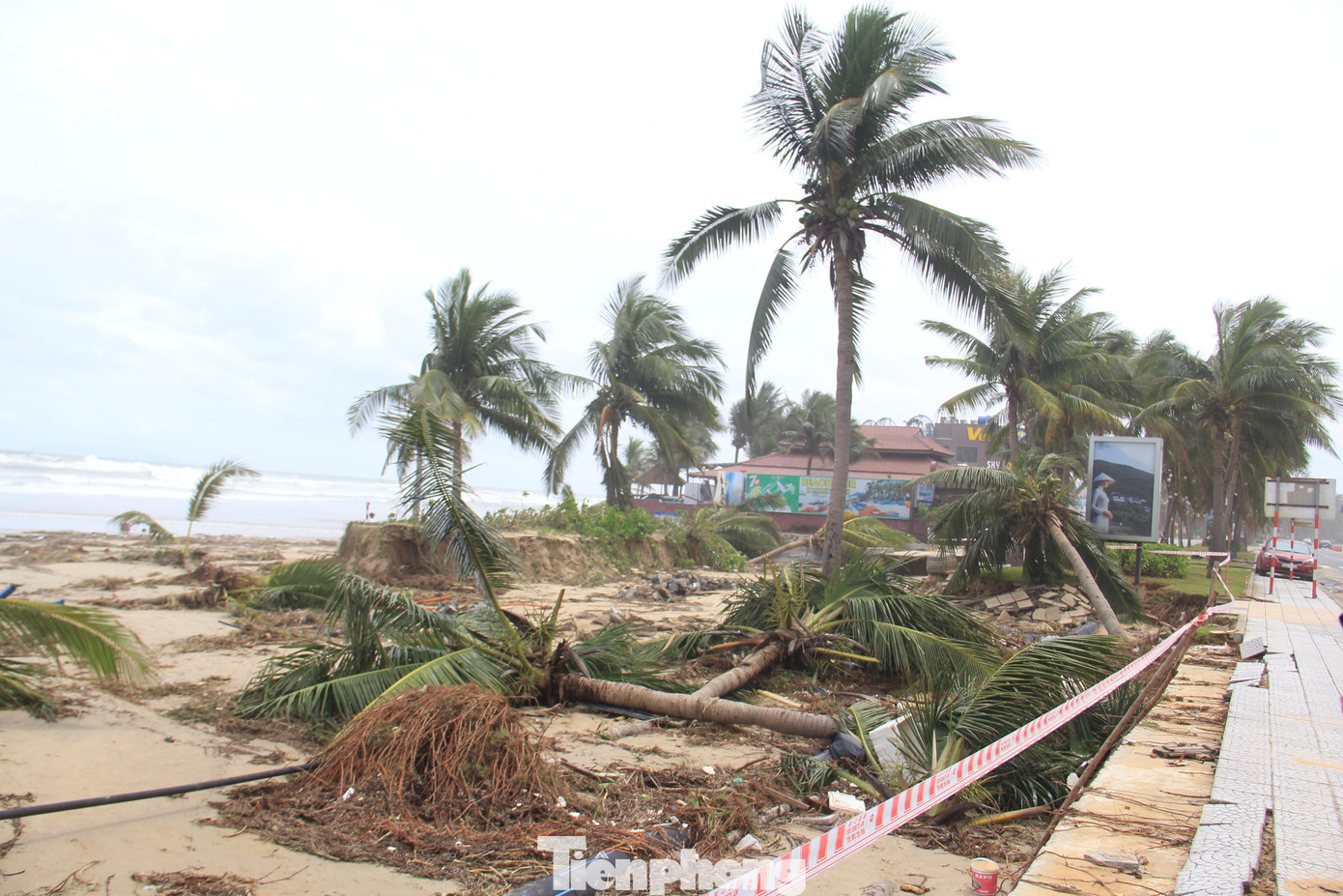 Trong khi đó, dọc đường biển quận Sơn Trà, Ngũ Hành Sơn, nhiều đoạn cây cối bị nước xô ngã rạp. Lực lượng chức năng đã rào chắn, không cho người dân tới những khu vực này.