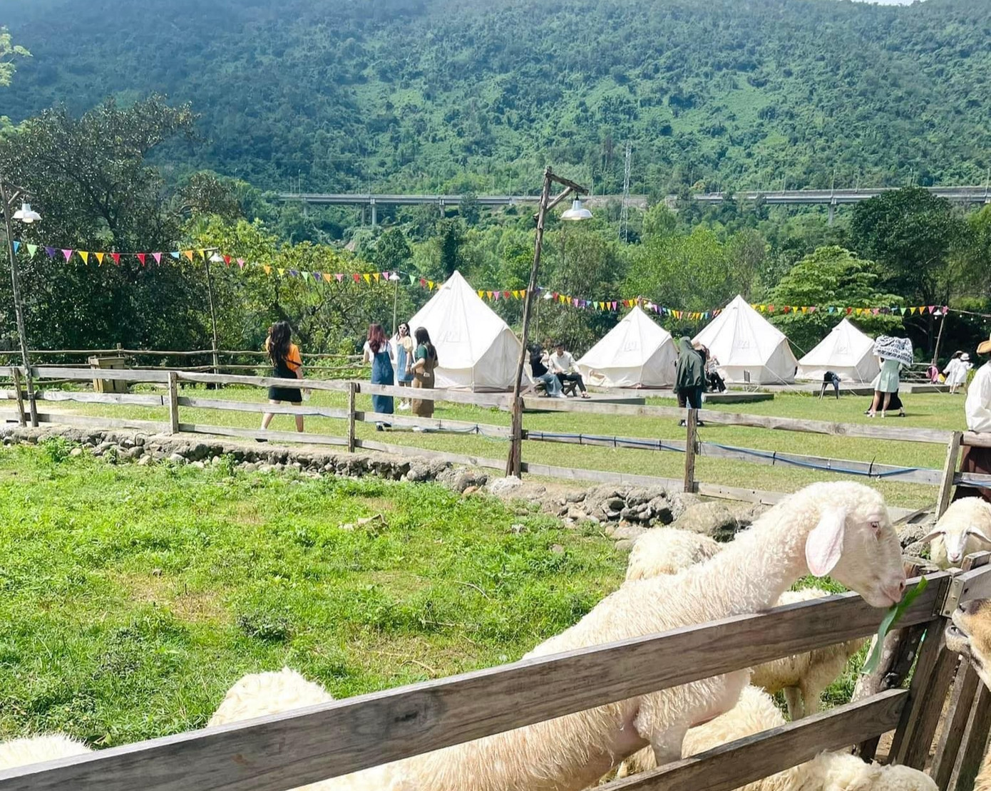 Khu du lịch tự ý thu 100.000đ/khách khi vào tham quan.