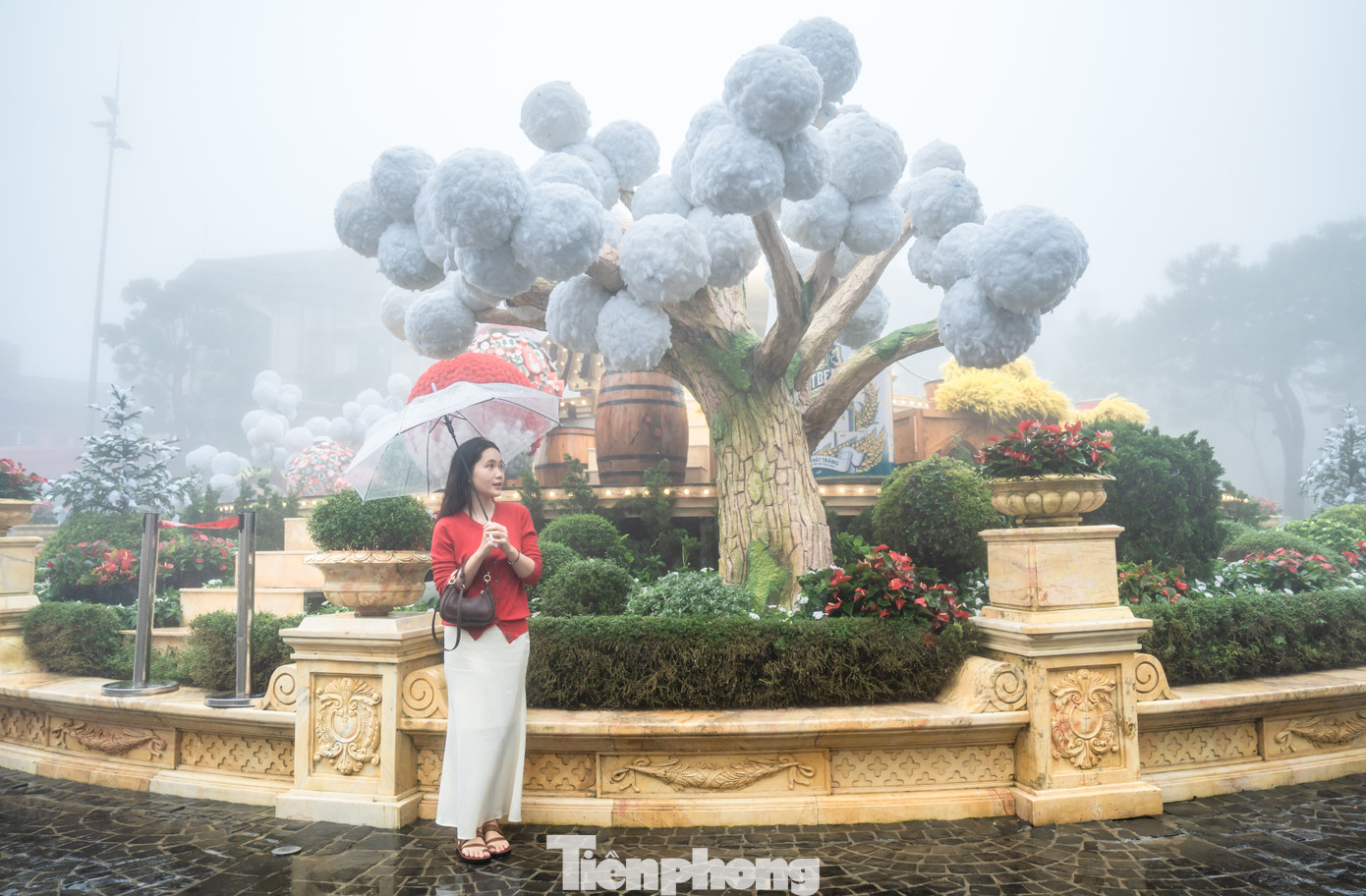 Chị Nguyễn Thúy Hồng (TP Hồ Chí Minh) chia sẻ rất ấn tượng với khung cảnh và không khí trên núi cao. "Tôi có cảm giác như đang ở xứ lạnh, đón Giáng sinh ở nước ngoài. Tôi đã chụp rất nhiều ảnh đẹp. Năm sau, tôi sẽ dẫn người thân ra đây đúng dịp Noel để "thưởng thức" không khí lạnh và không khí Giáng sinh ở đây vì ở miền Nam nóng quanh năm", chị cho hay.