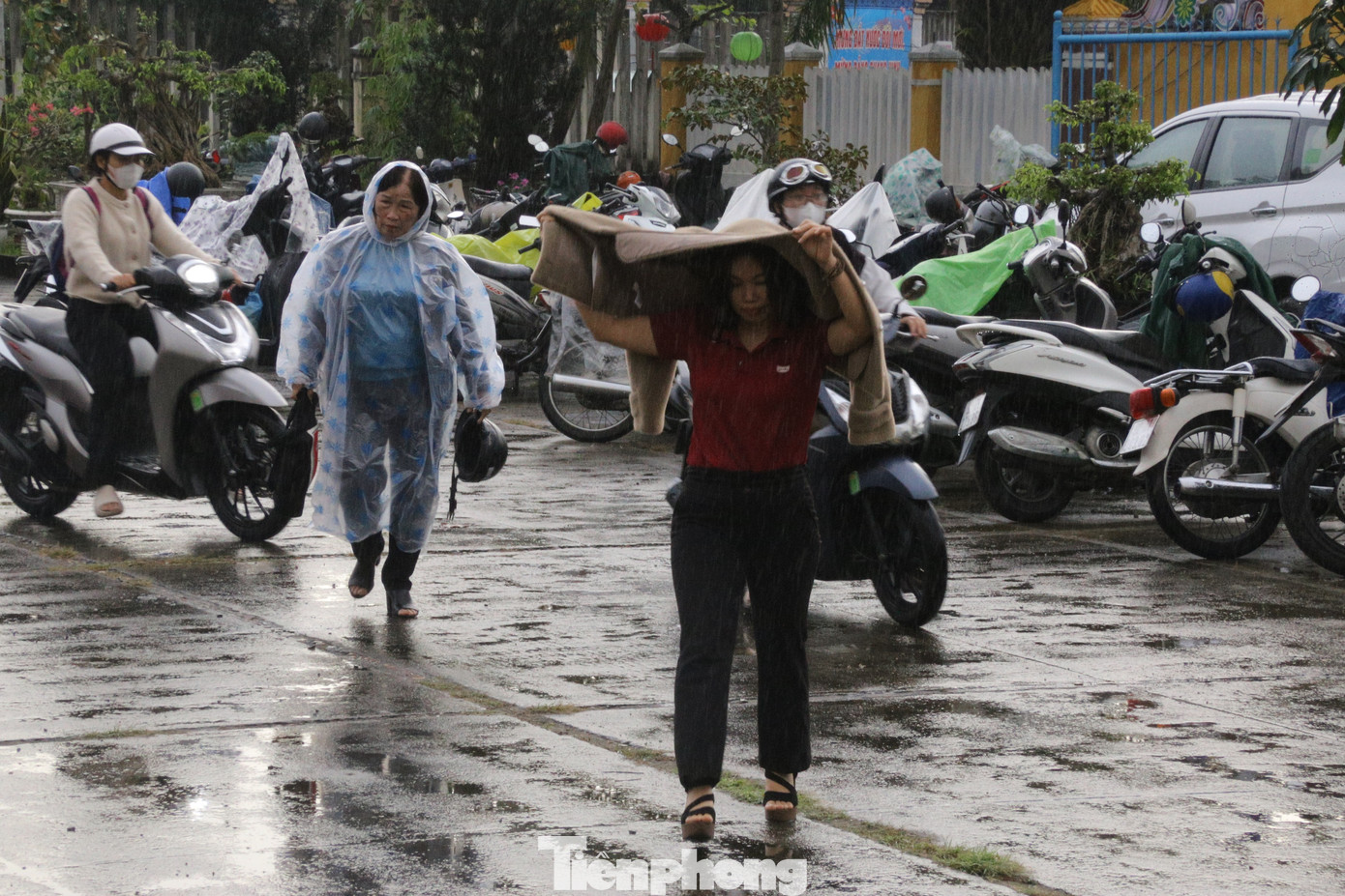 Từ sáng sớm, nhiều người dân đã đội mưa tới Ngày hội Chủ Nhật Đỏ. Với thông điệp “Hiến máu cứu người – Sinh mệnh của bạn và tôi”, hành trình Chủ Nhật Đỏ đến năm 2024 này đã bước sang năm thứ 16 trong hành trình trao cho đời sự sống. Từ sáng sớm, nhiều người dân đã đội mưa tới Ngày hội Chủ Nhật Đỏ. Với thông điệp “Hiến máu cứu người – Sinh mệnh của bạn và tôi”, hành trình Chủ Nhật Đỏ đến năm 2024 này đã bước sang năm thứ 16 trong hành trình trao cho đời sự sống.