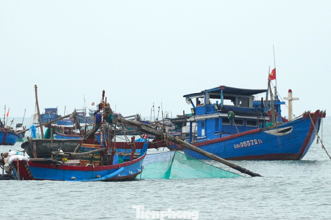 Anh Steven (du khách Đức) chia sẻ rất đam mê khám phá cuộc sống, đặc trưng, văn hóa của từng vùng đất mới, do đó khi đến Đà Nẵng anh Steven chọn tới vùng biển đầu tiên. "Tôi khá bất ngờ vì ngư dân ở đây đánh cá với những chiếc thuyền nhỏ, đơn sơ. Nơi này giúp tôi hình dung được một phần cuộc sống của người dân ven biển", anh nói và chia sẻ thêm, phong cảnh ở đây cũng rất đẹp với biển núi liền kề, những chiếc thuyền xanh nằm im trên mặt nước làm bức tranh miền biển thêm hài hòa, đẹp đẽ.