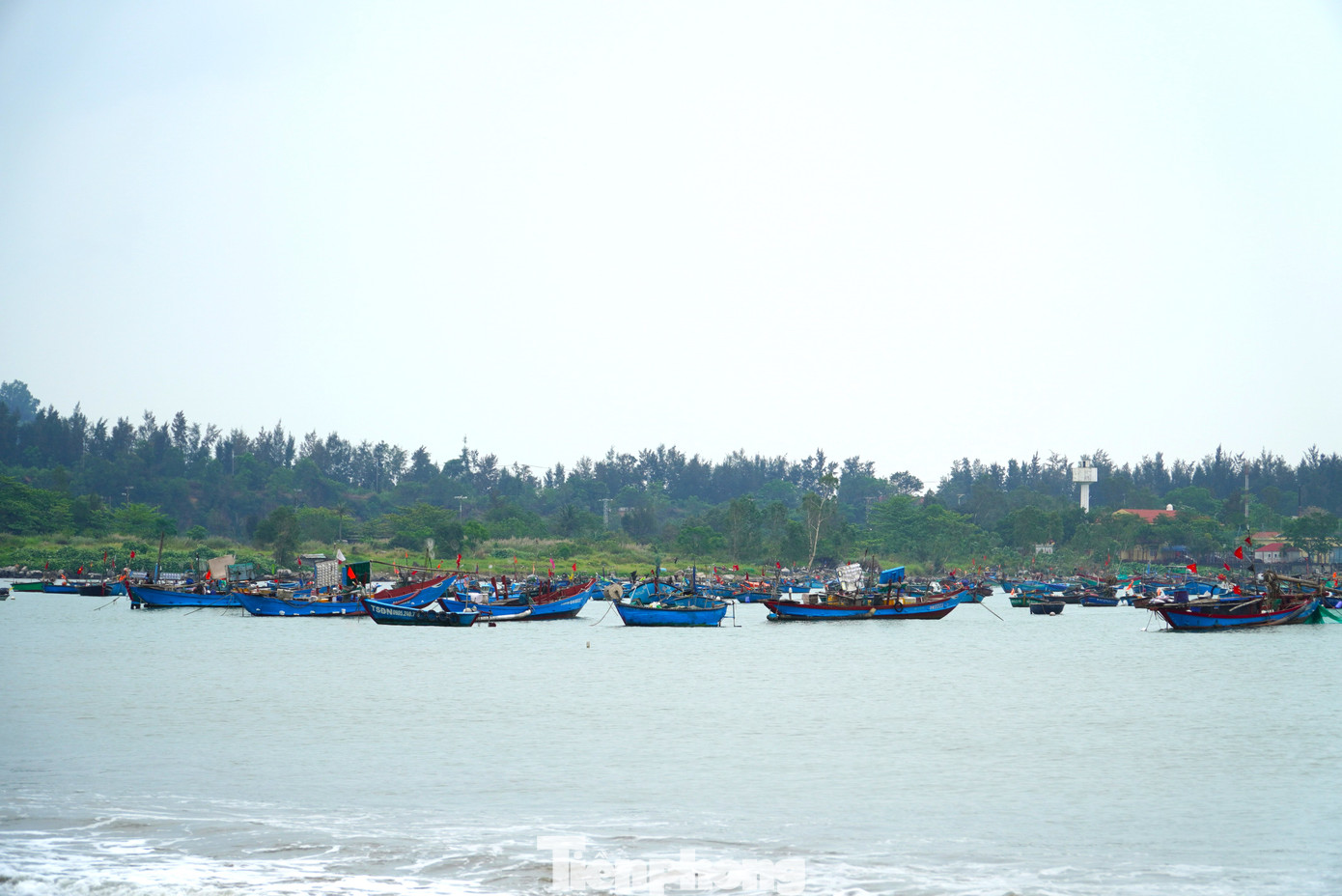 Anh Steven (du khách Đức) chia sẻ rất đam mê khám phá cuộc sống, đặc trưng, văn hóa của từng vùng đất mới, do đó khi đến Đà Nẵng anh Steven chọn tới vùng biển đầu tiên. "Tôi khá bất ngờ vì ngư dân ở đây đánh cá với những chiếc thuyền nhỏ, đơn sơ. Nơi này giúp tôi hình dung được một phần cuộc sống của người dân ven biển", anh nói và chia sẻ thêm, phong cảnh ở đây cũng rất đẹp với biển núi liền kề, những chiếc thuyền xanh nằm im trên mặt nước làm bức tranh miền biển thêm hài hòa, đẹp đẽ.
